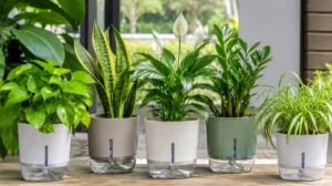 Read more about the article 17+ Best plants for self watering pots
