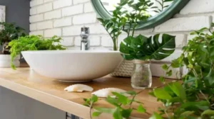 Read more about the article 17 Shower Plants That Thrive in Humid Bathrooms