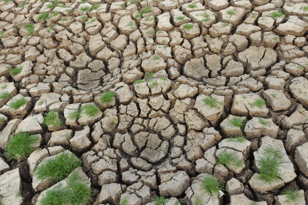 poor soil drainage