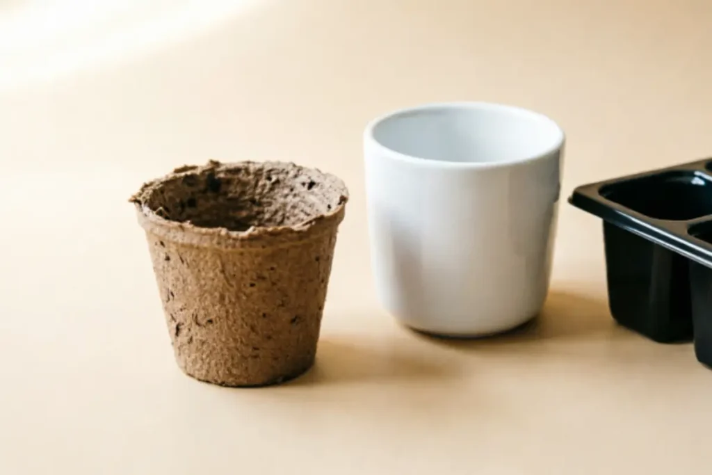 Choose the Right Container