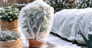 Read more about the article 18+Winter Protection for Plants: Powerful Ways to Keep Your Garden Alive All Winter 